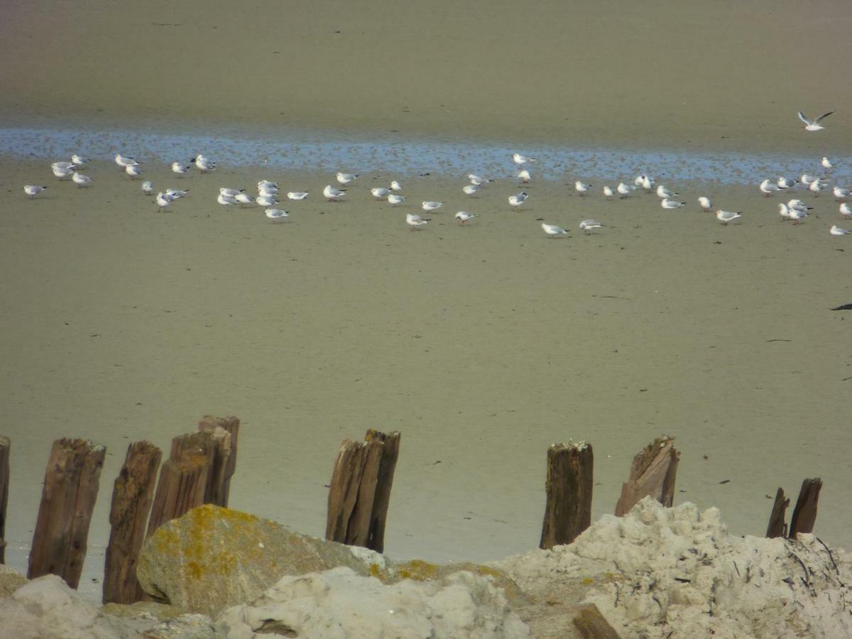 La Maison Bateau Au Bord De Mer Guisseny ภายนอก รูปภาพ